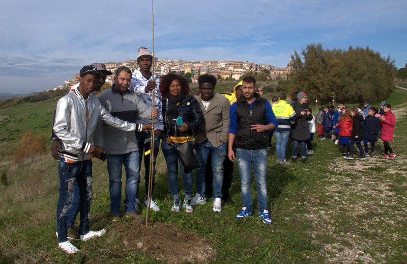 festa albero Montenero