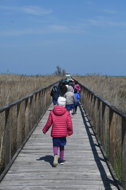 alunni su spiaggia Campomarino