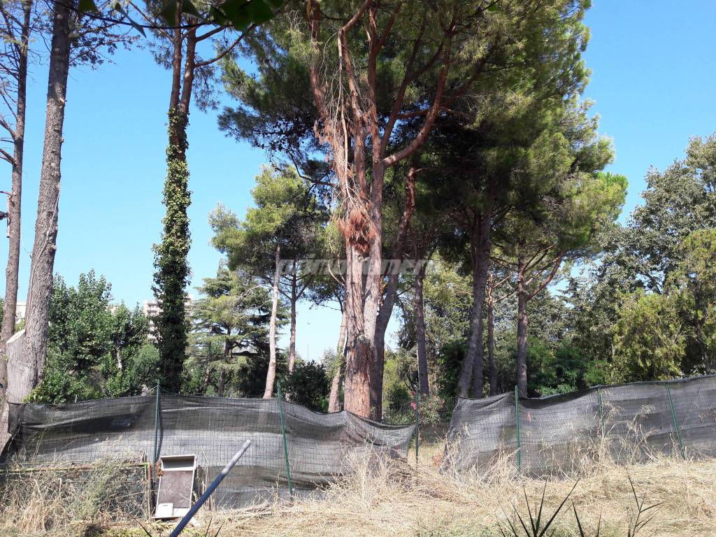 Piscina parco inizio lavori