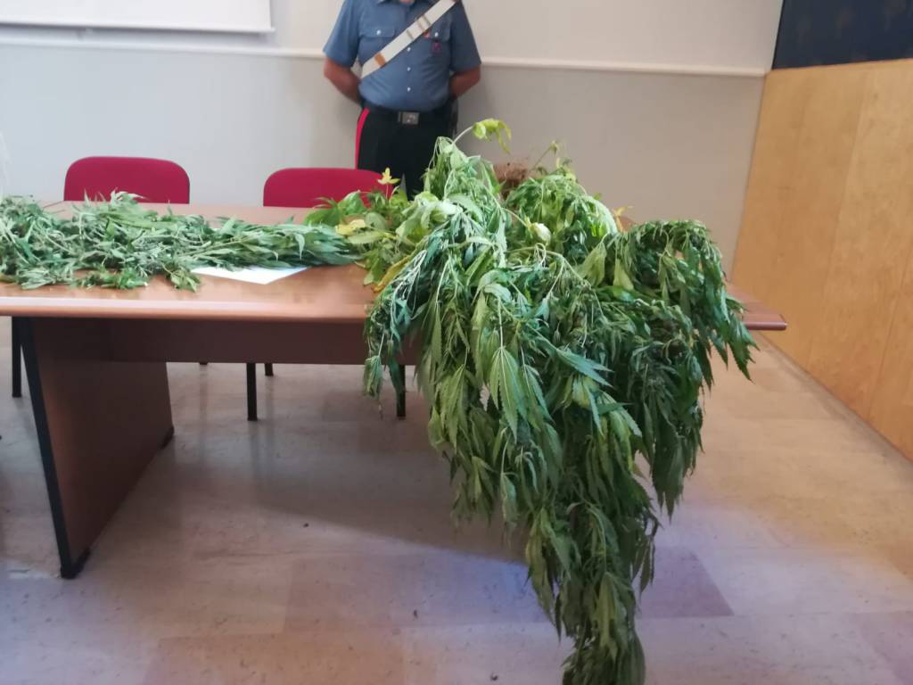 carabinieri marijuana 