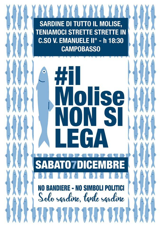 sardine molise