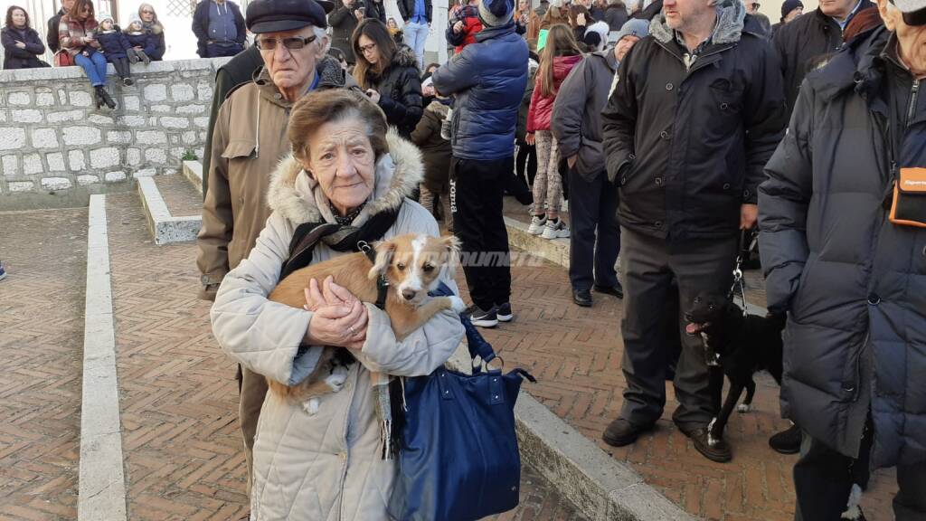 Campobasso festeggia Sant'Antonio abate