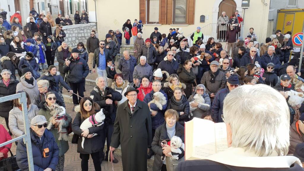 Campobasso festeggia Sant'Antonio abate