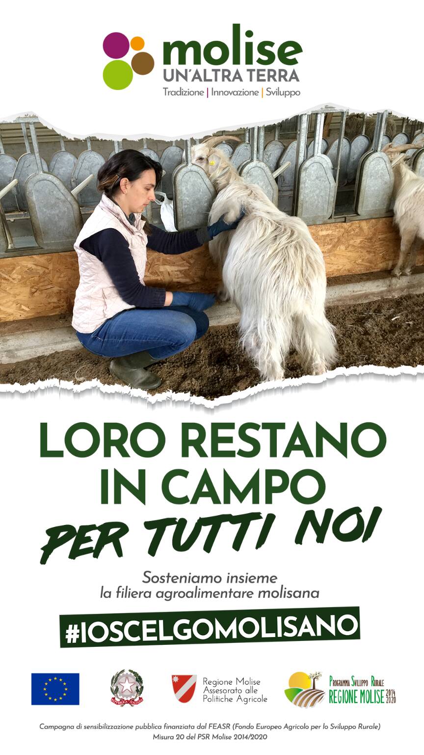 #ioscelgomolisano