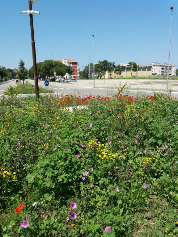 Rotonda piazza del papa in fiore