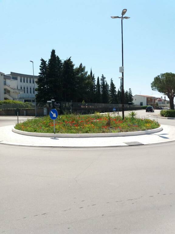 Rotonda piazza del papa in fiore