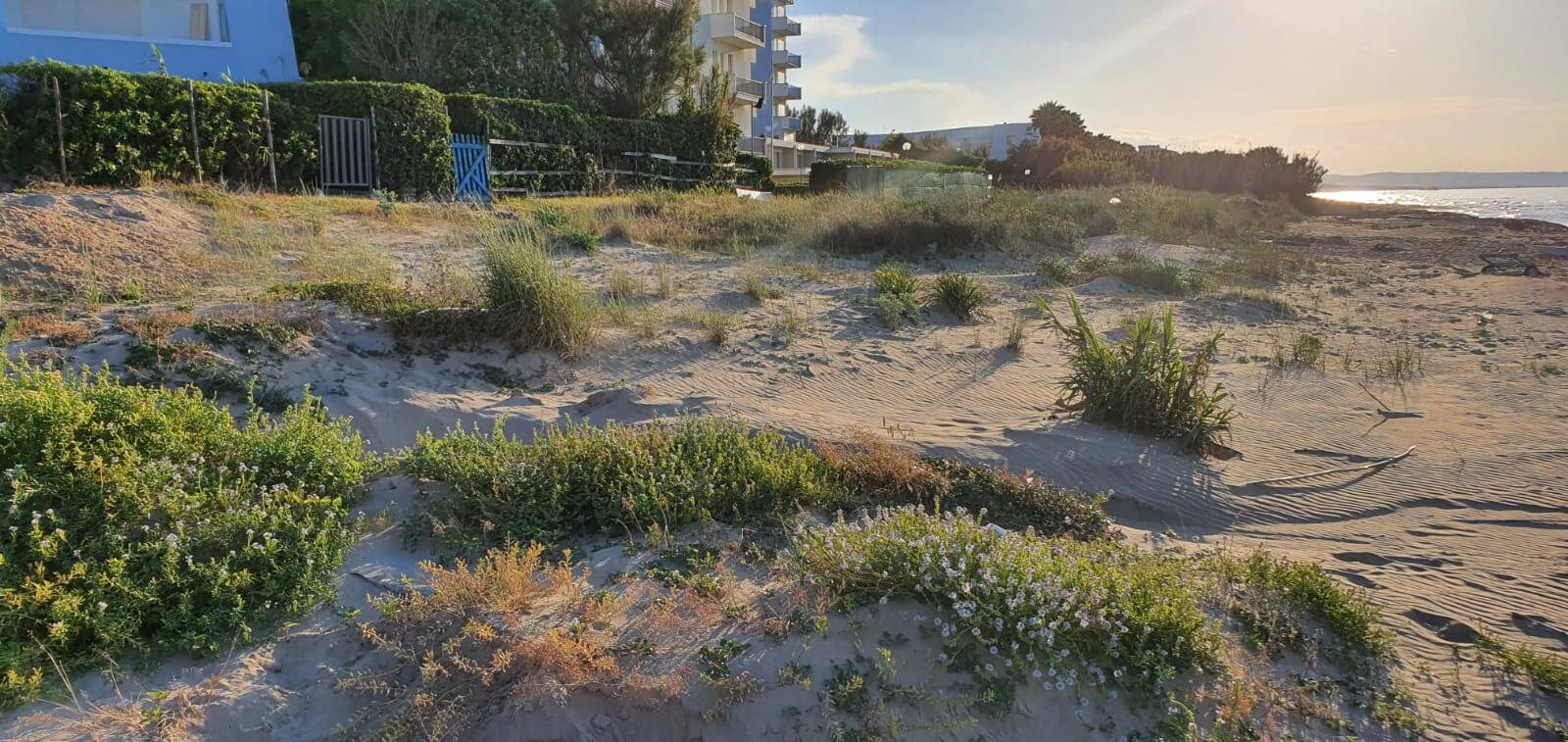 duna spianata Termoli nord 