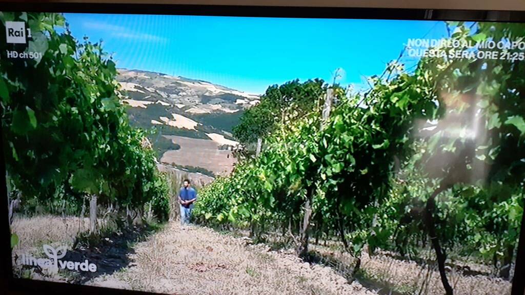 Linea Verde in Molise