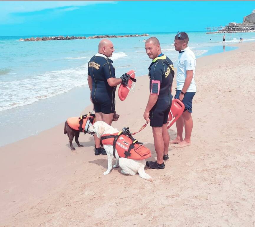 cani salvataggio spiaggia termoli