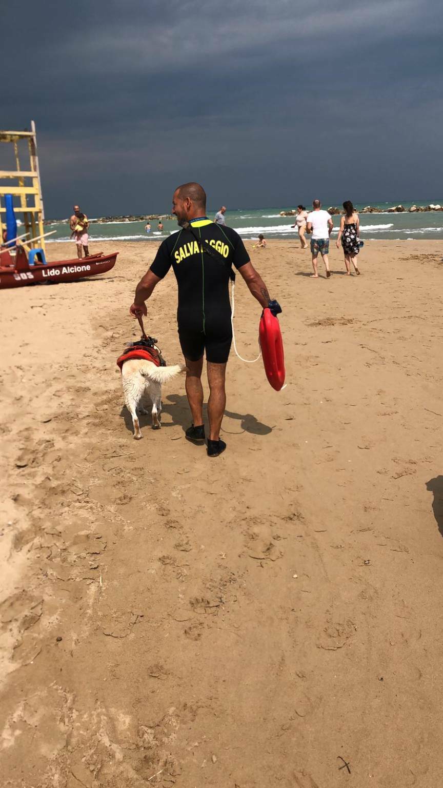 cani salvataggio spiaggia termoli