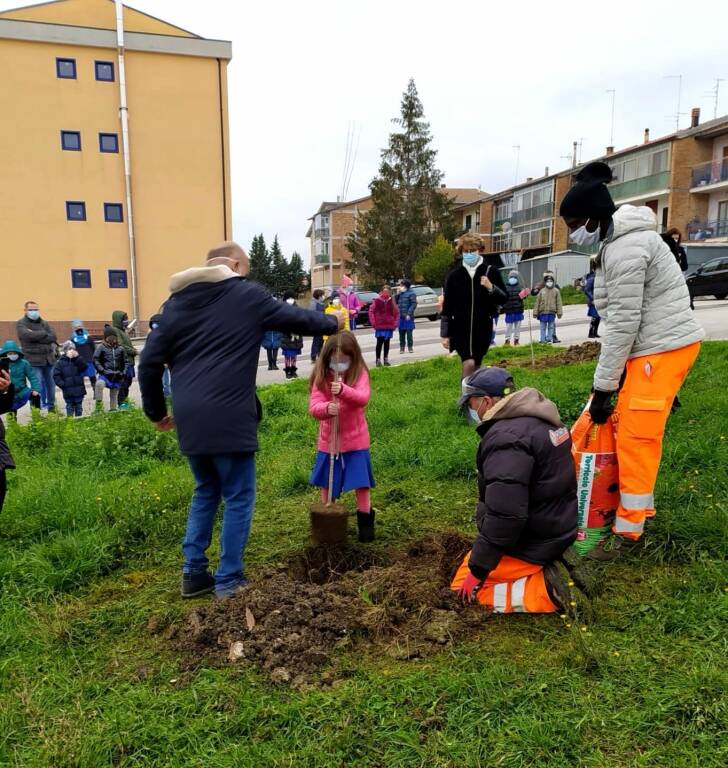 giornata dell'albero cb 2020