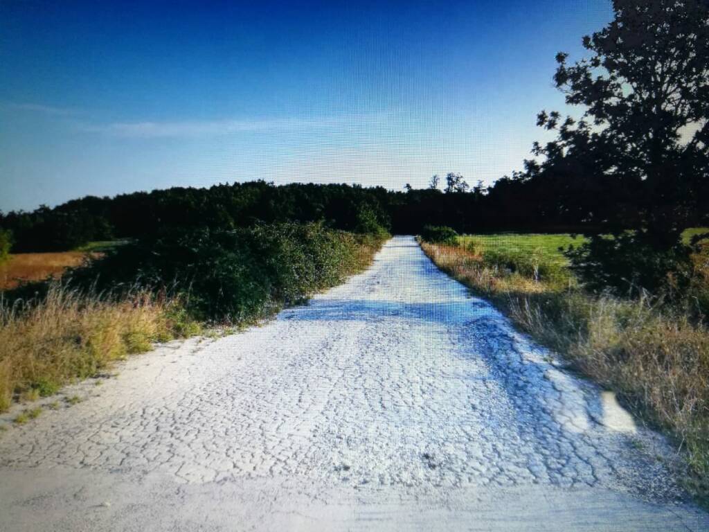 strade di bonifica Riccia