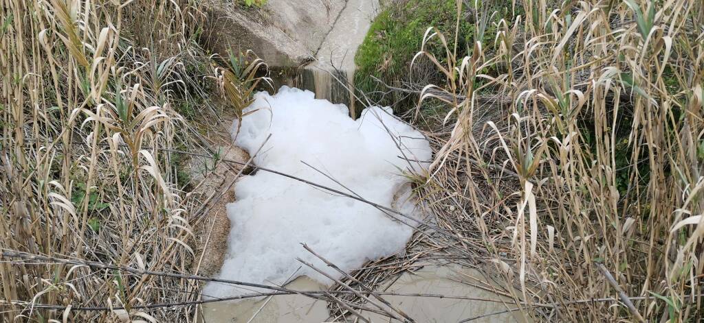 Schiuma torrente biferno inquinato detersivi ambiente depuratore  