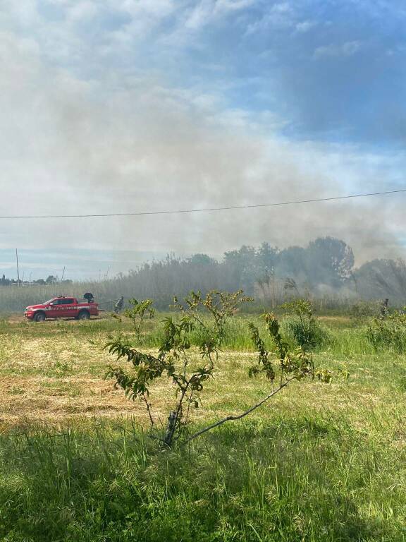 incendio rio vivo