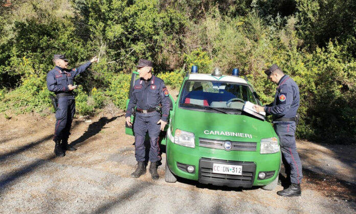 carabinieri forestali