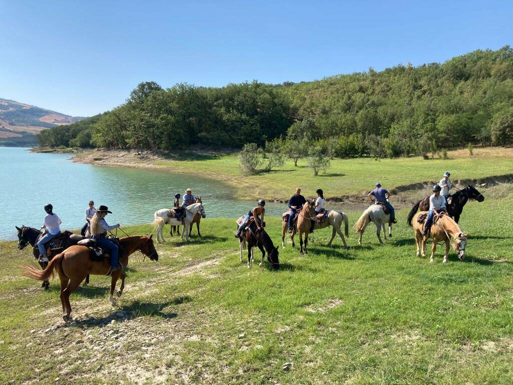 Trekking a cavallo sul lago di Occhito