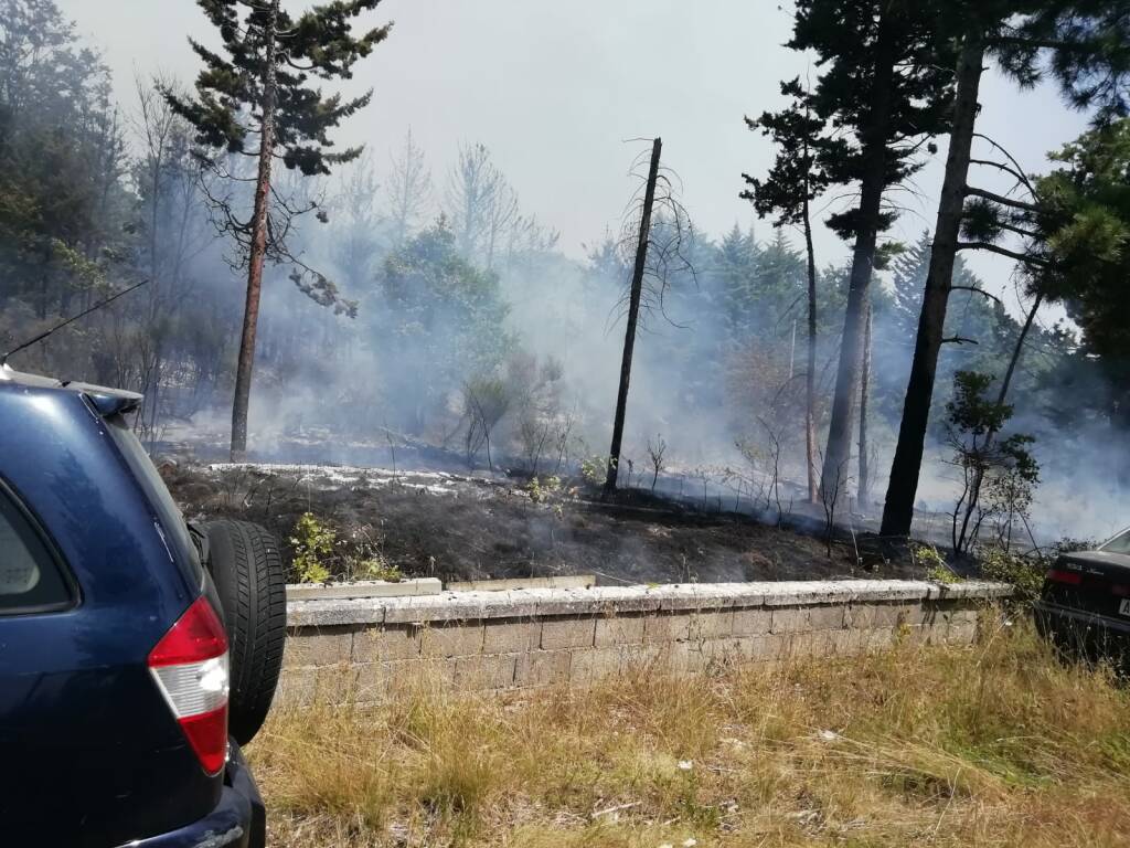 Pineta Vinchiaturo incendio