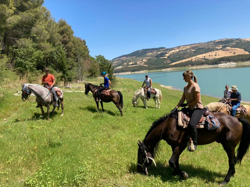 cavalli turisti lago natura foto pizzuto