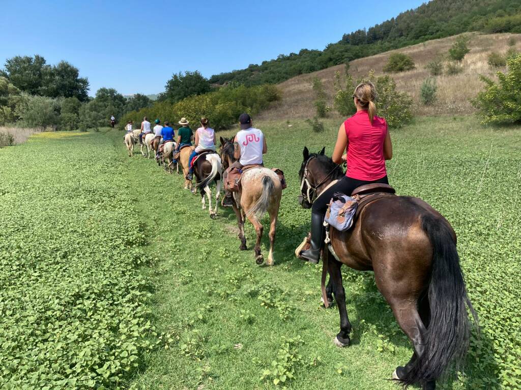 cavallo turisti foto pizzuto natura