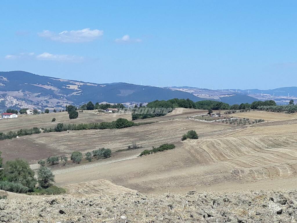 Santo Stefano paesaggio campagna tratturo agricoltura 