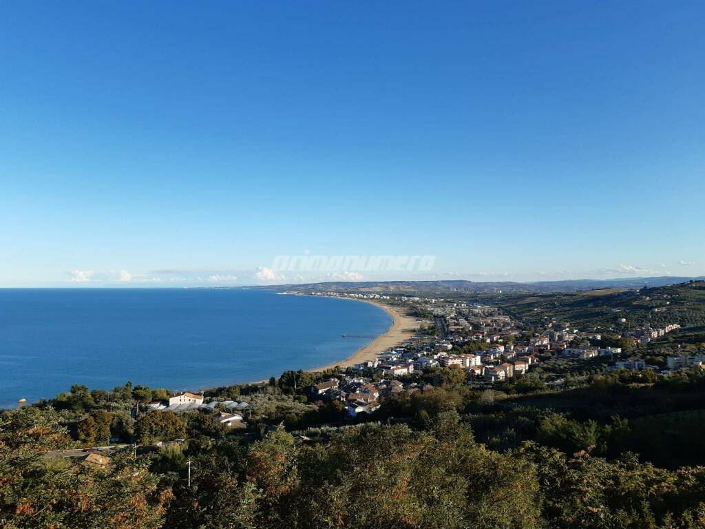 Vasto, aggrediti due bambini sulla spiaggia, forse un lupo - BigHunter