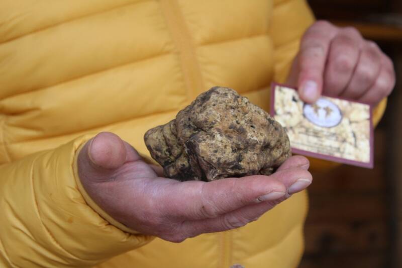 tartufo san pietro avellana