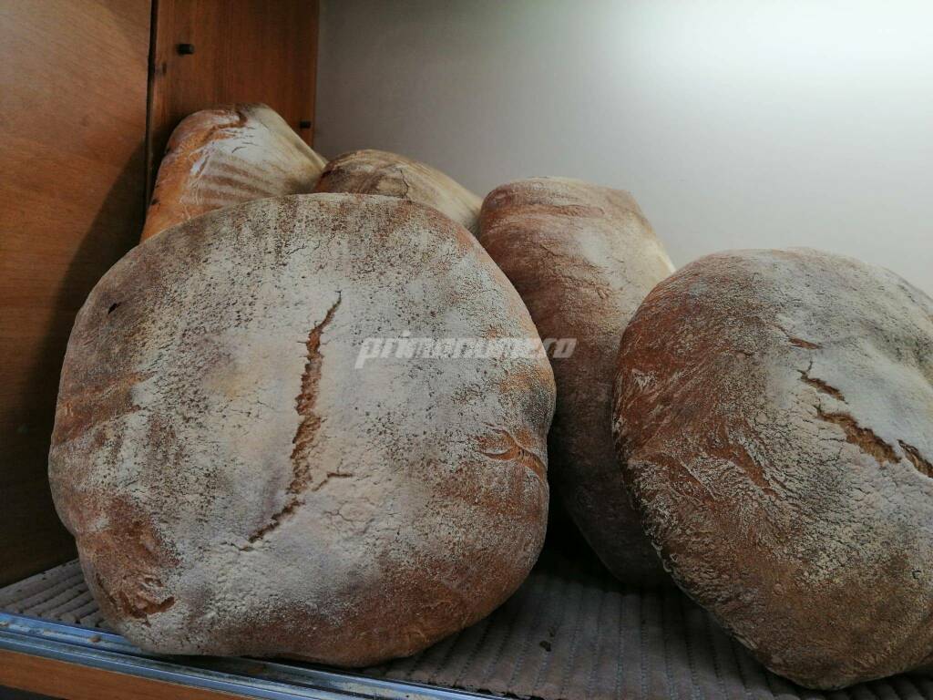 pane