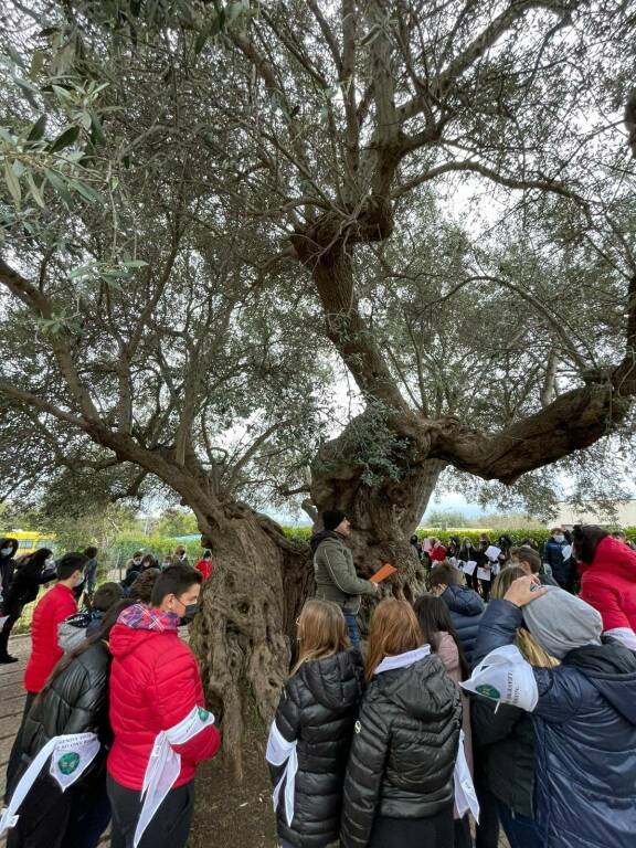 Festa dell'Albero  dell'I.c. Dewey