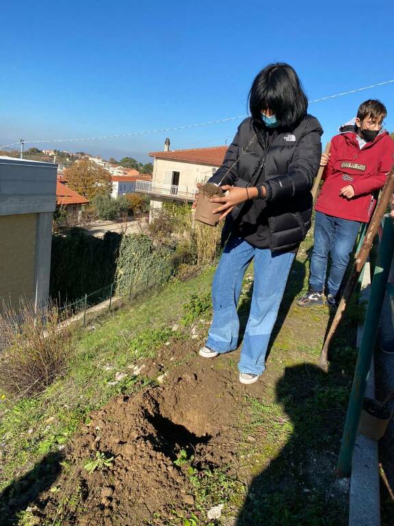 un albero per il futuro liceo d'ovidio