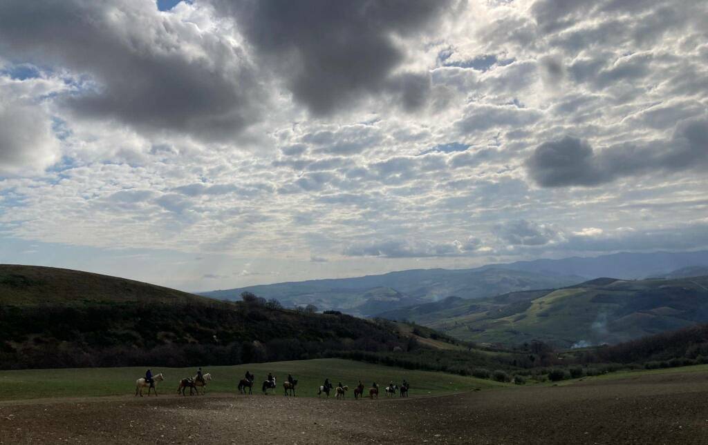 trekking cavallo ulivi colletorto luigi pizzuto