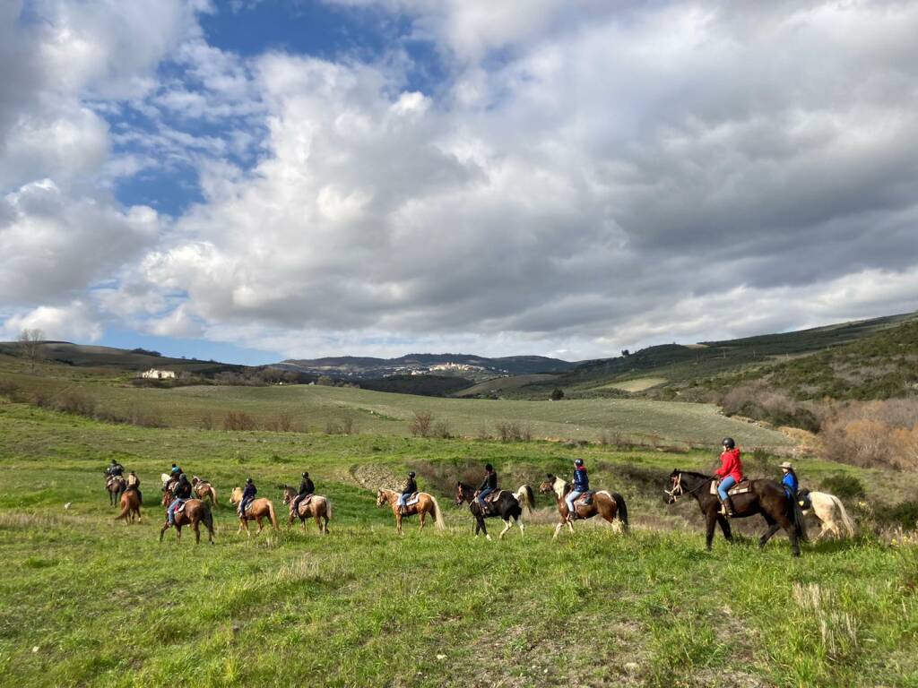 trekking cavallo ulivi colletorto luigi pizzuto