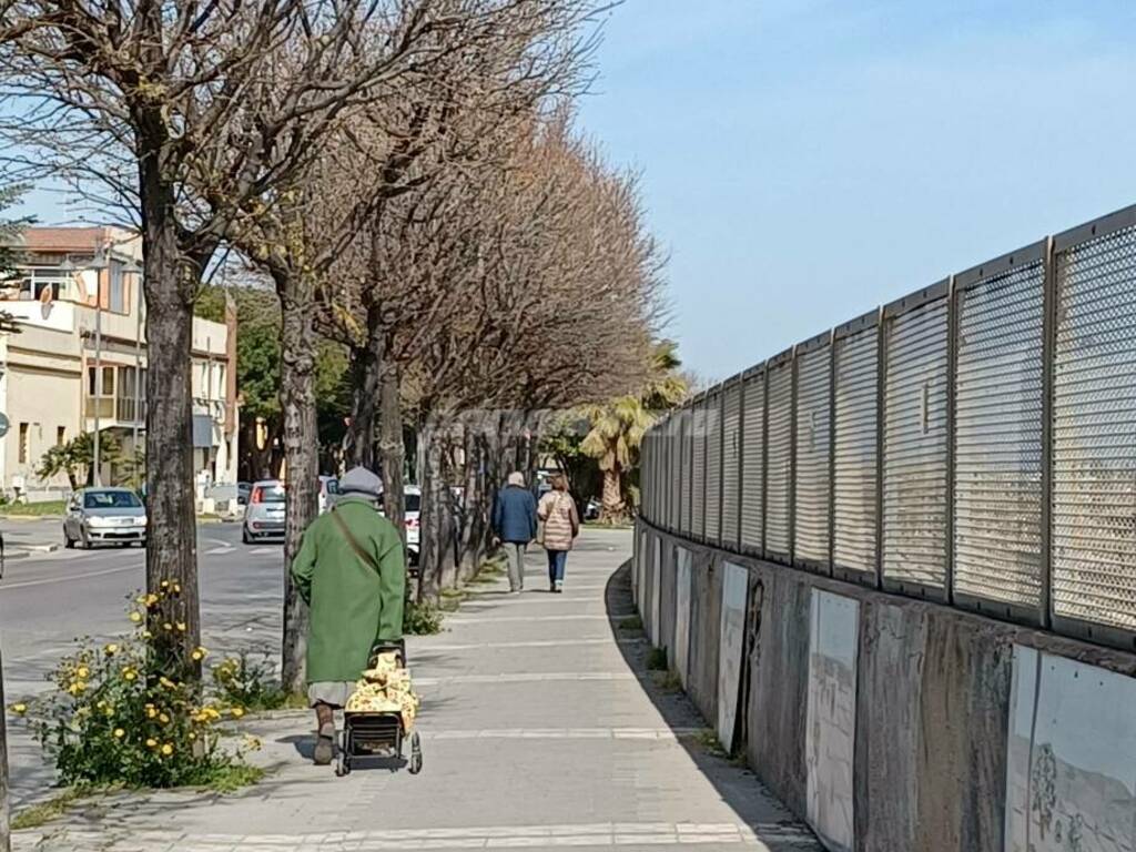 Viale Trieste anziana spesa gente