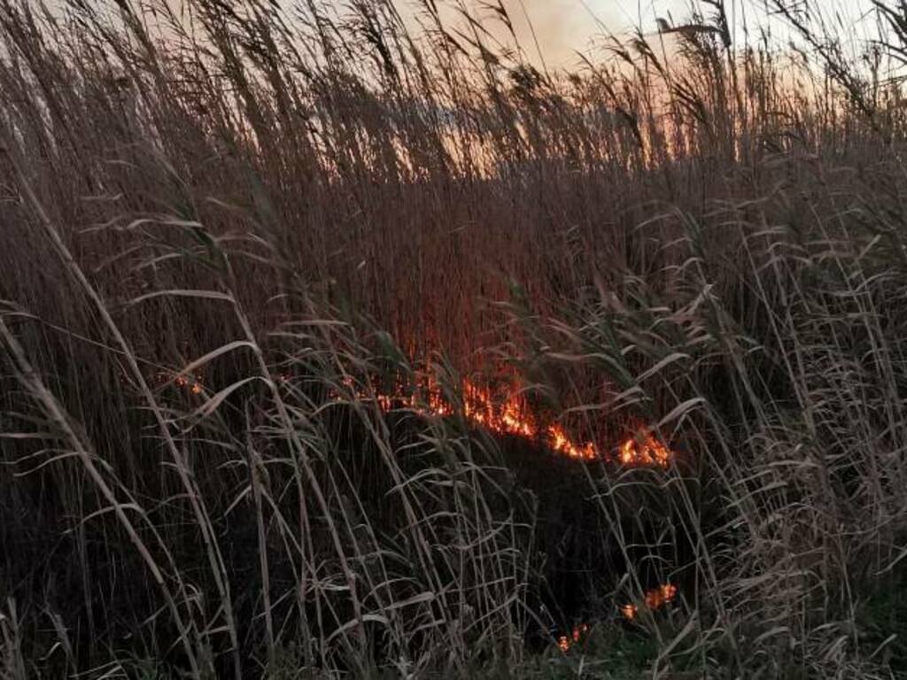 Incendio rio vivo marzo 2022