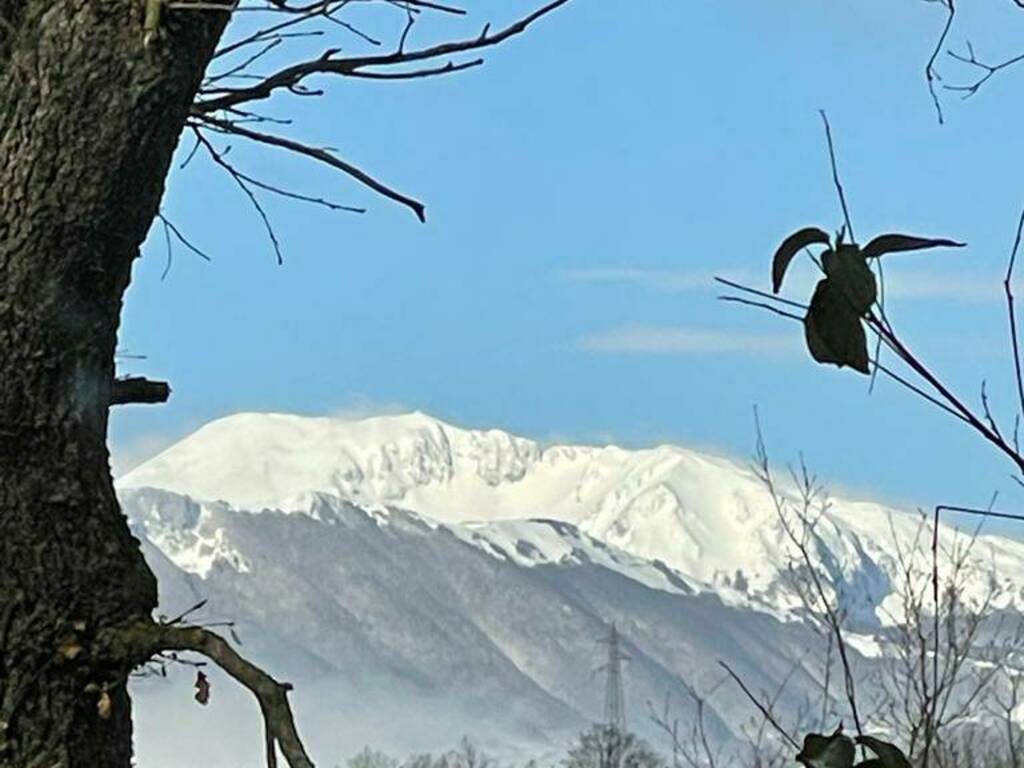 Stagione sci Campitello neve 