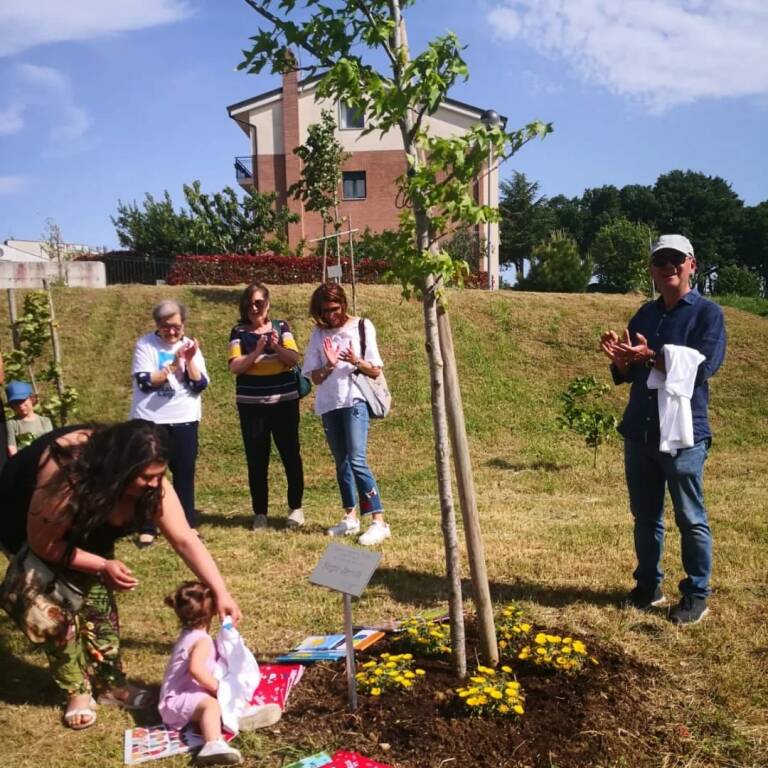 Un fiore zarrilli 