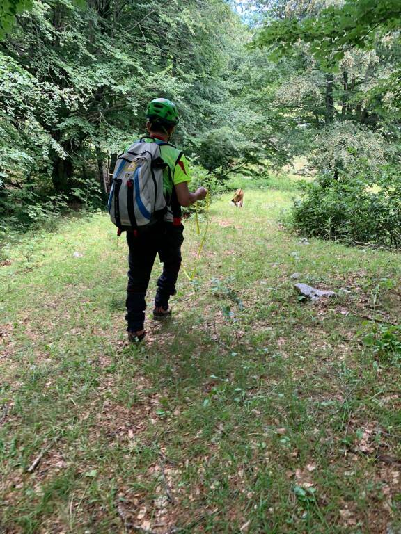 ricerche soccorso alpino cane molecolare