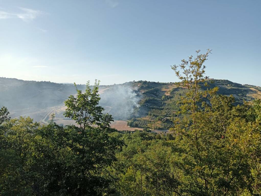 Incendio montorio canadair