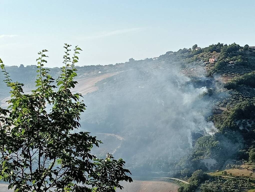 Incendio montorio canadair