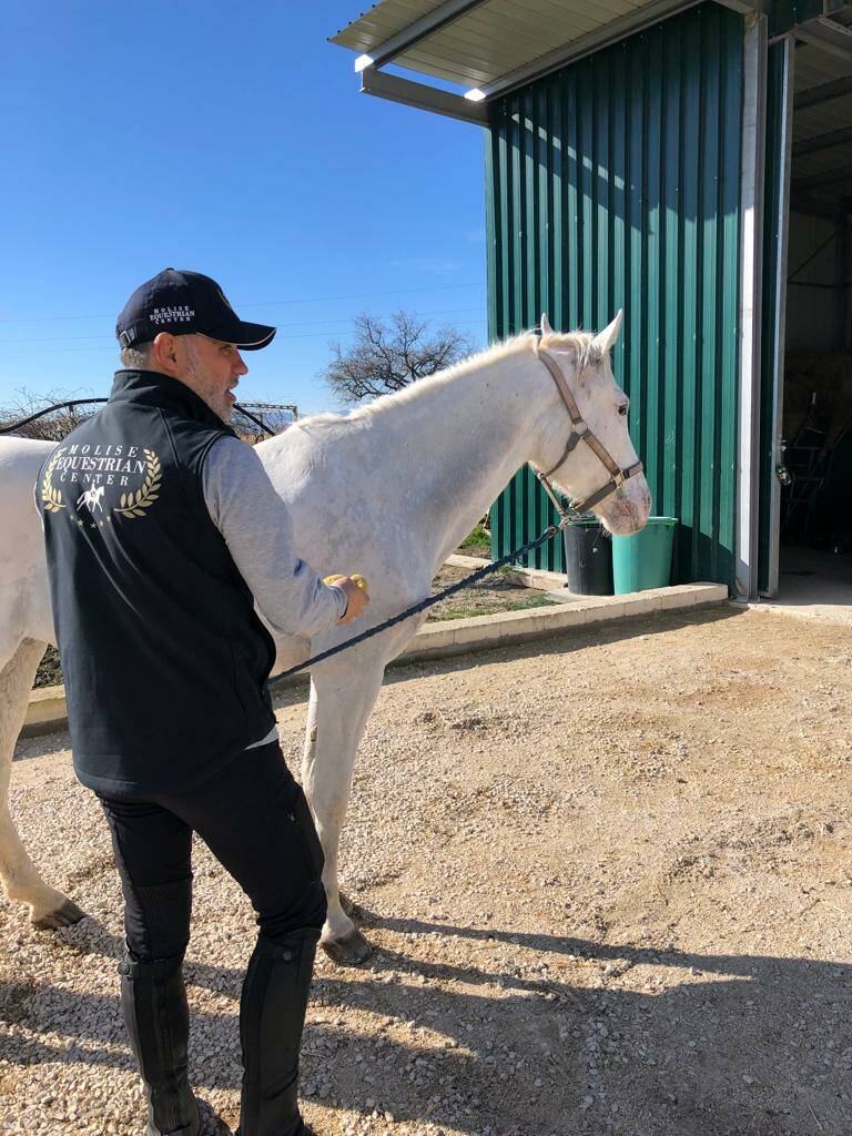 Maneggio Molise Equestrian Center 