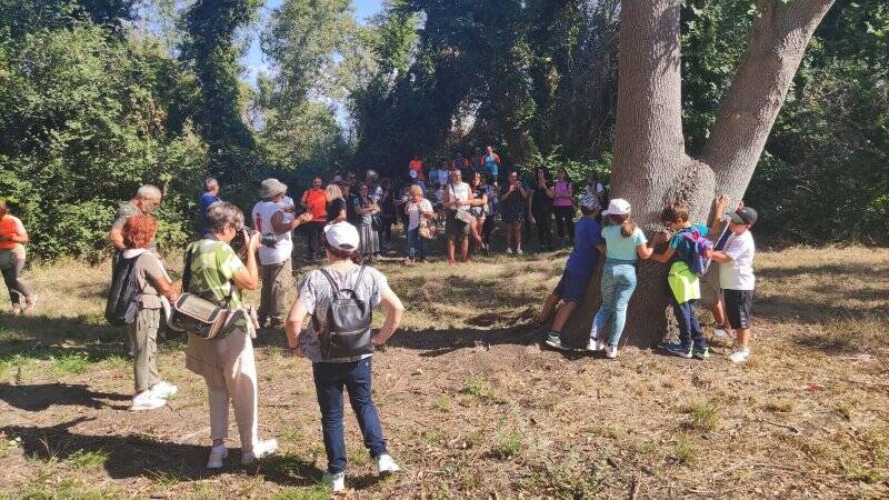 Giornata nel bosco Fantine