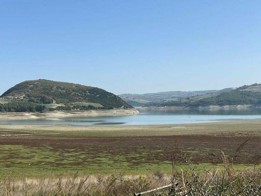 Liscione lago siccità