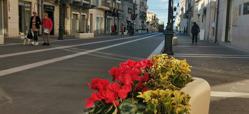 Corso nazionale alberi panchine fiori 