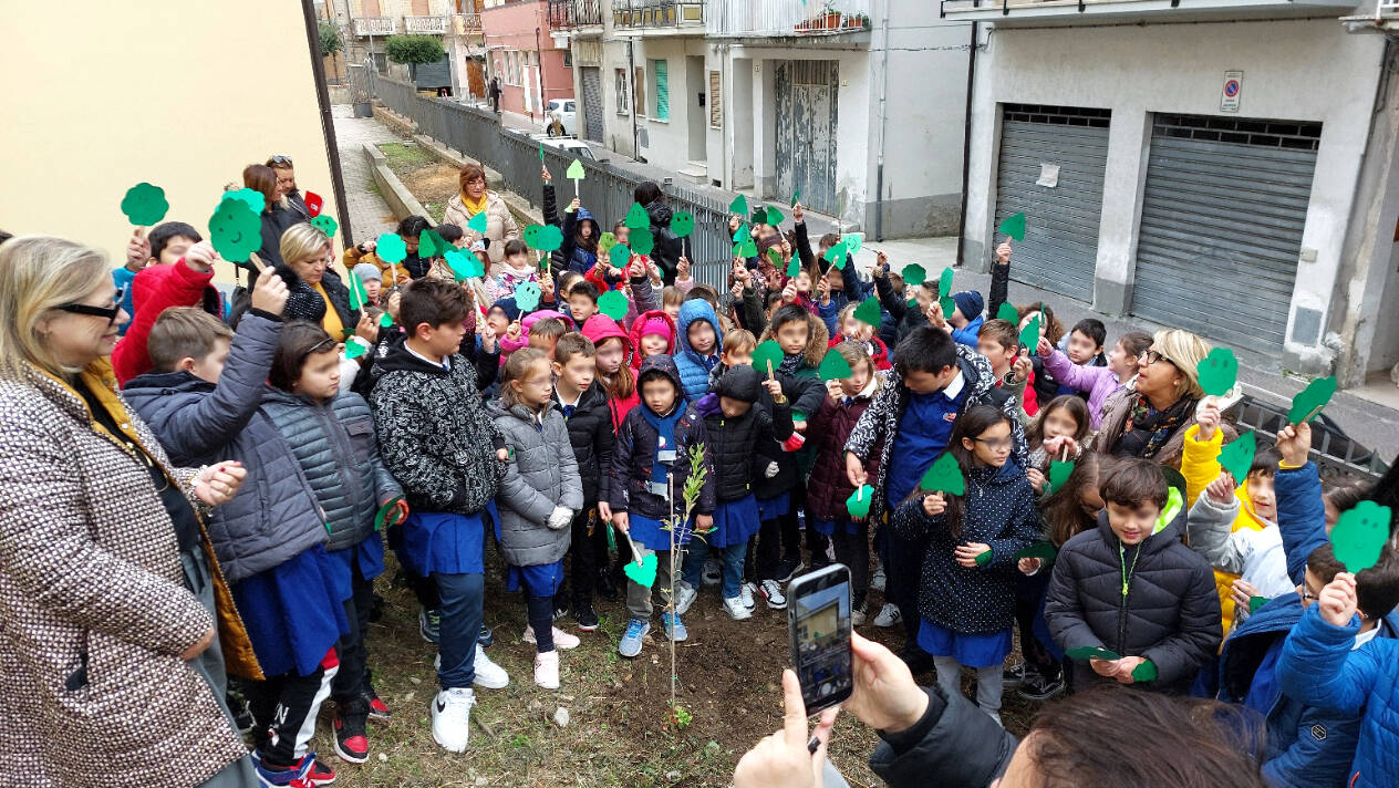 festa albero montenero