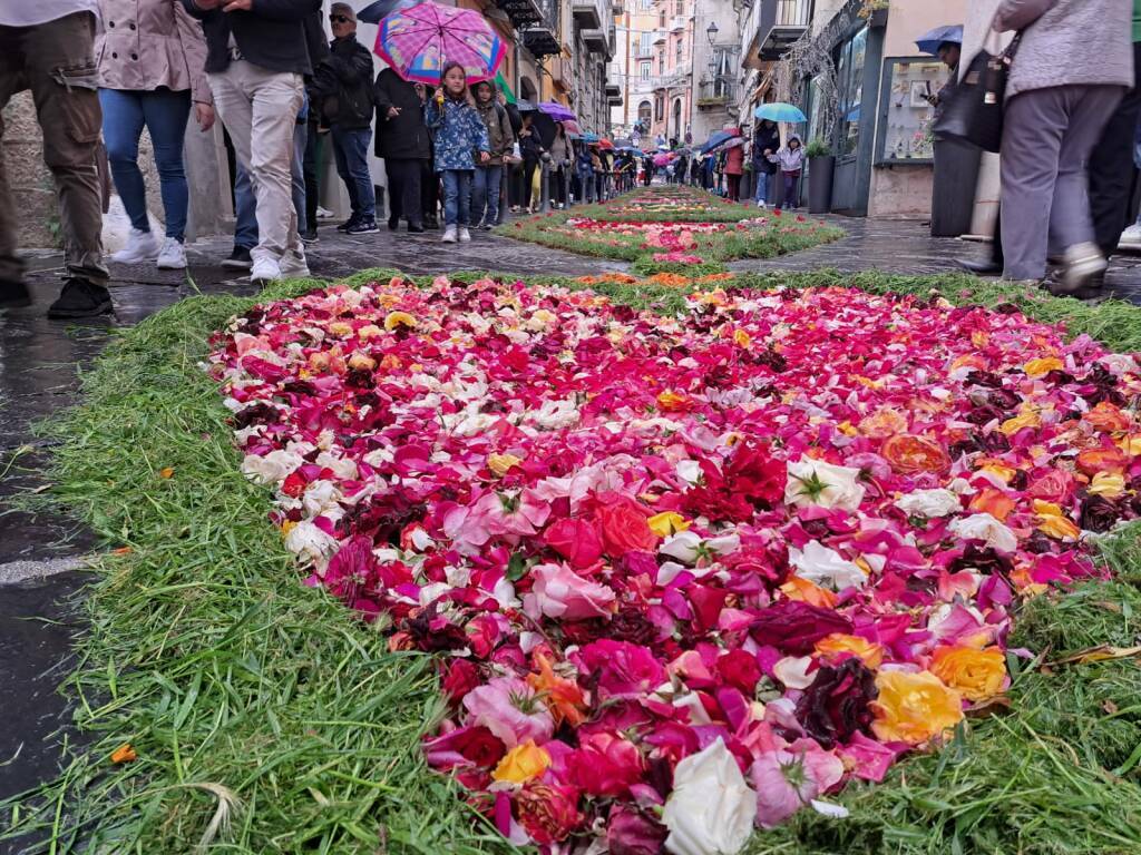 Infiorata 2023