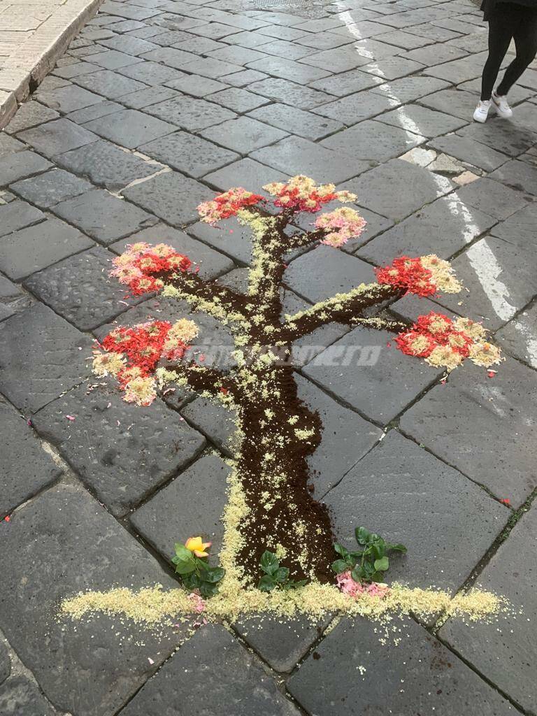 Infiorata 2023