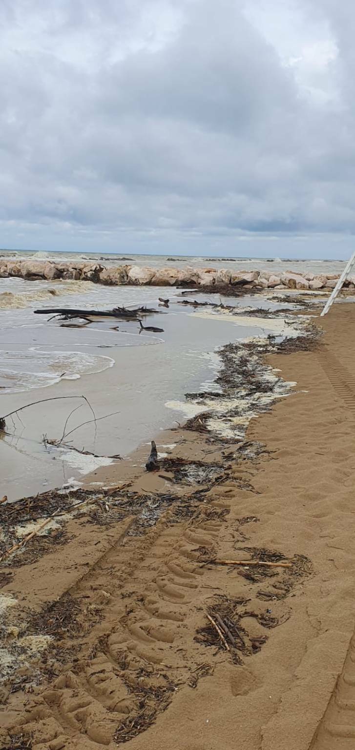 mareggiate Ceppi spiaggia lungomare