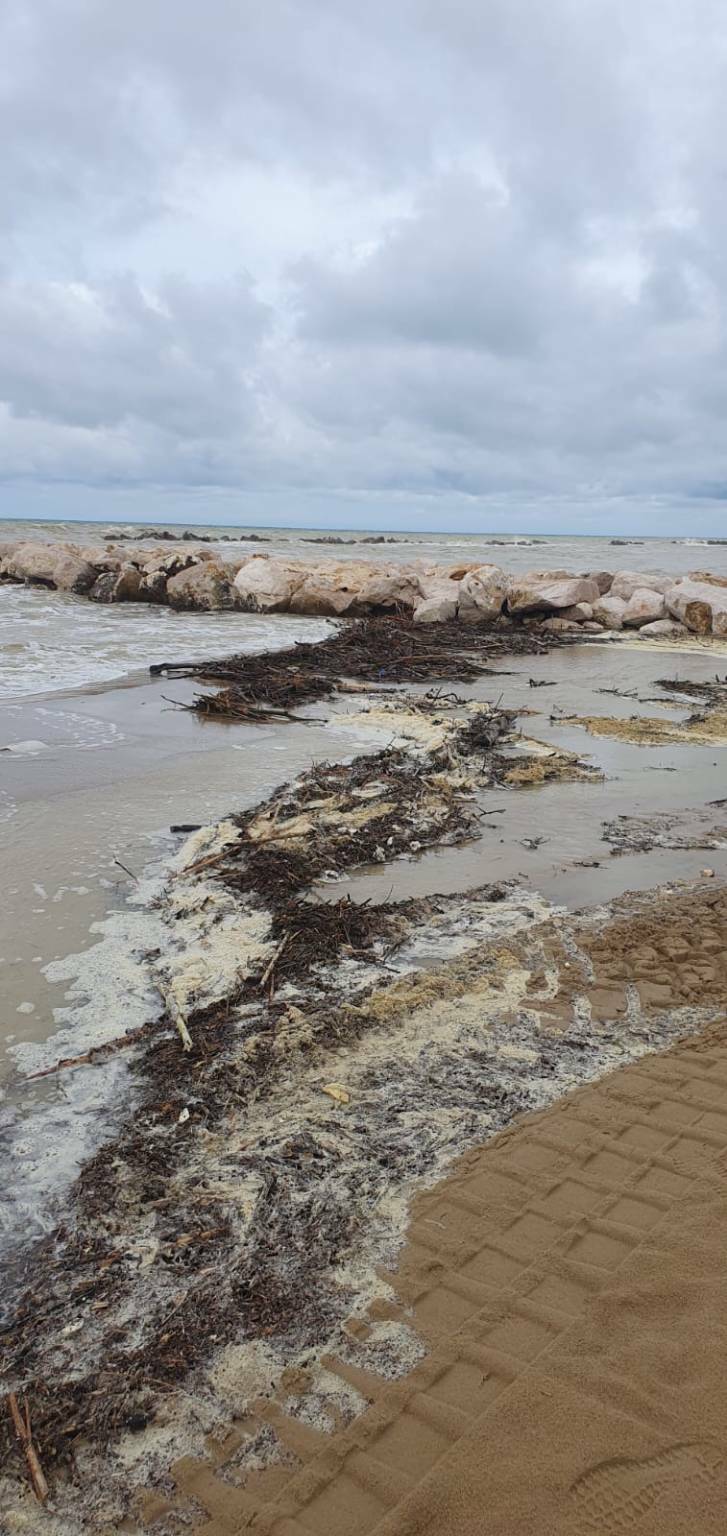 mareggiate Ceppi spiaggia lungomare