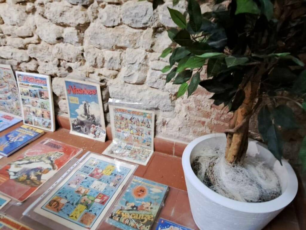 termoli comics - pn giovani