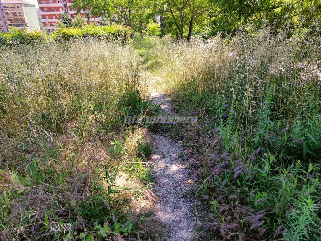 parco madonnina colle dell'orso