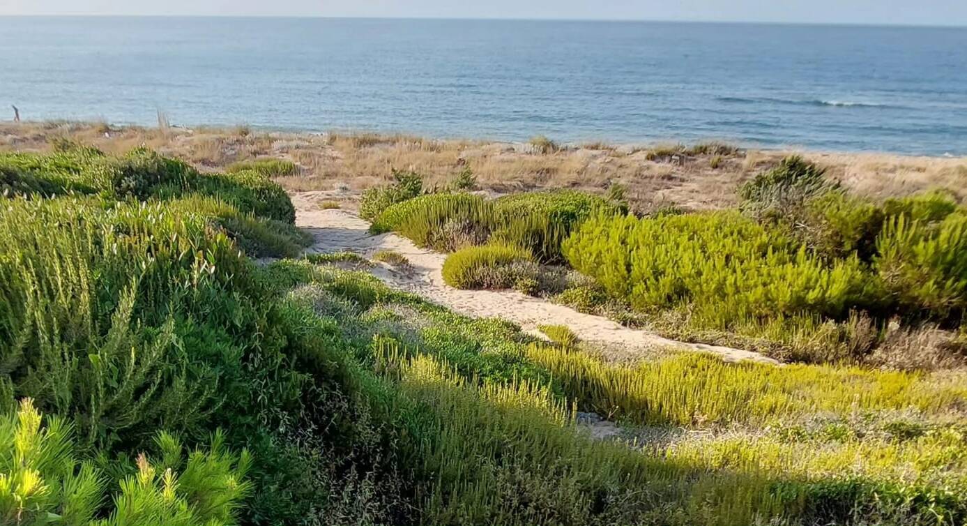 Ramitelli spiaggia Campomarino 